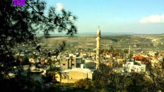 قرية عرعرة قرية عرعرة