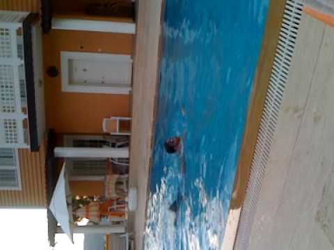 xsus1711 - Brilliant time for my boys around the pool in turkey.