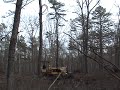 old D6 clearing