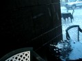 Raining Golf Balls in at Temple Bar