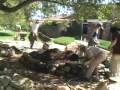 Swan Song for the Lawn with Larry Santoyo