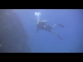 Scuba Diving In Red Sea Egypt Ben Tinsley.pt2