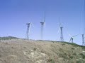 Tarifa (Cádiz)