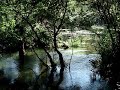 Trebižat