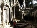 Ta Prohm temple (1), Angkor Wat historical park