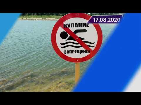 Новостная лента Телеканала Интекс 17.08.20.