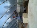 Oct 11 2008 - VID00009