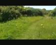 Durlston Speed Walk