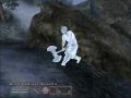 Oblivion Funny Magic