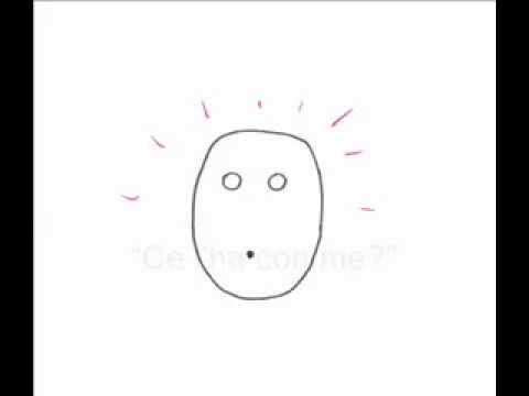 Immagine anteprima YouTube