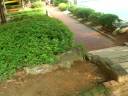 Maetan Park