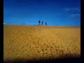 En los medanos de Coro En los medanos de Coro