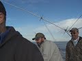 progressive-rock-fish-sugar-mice.html