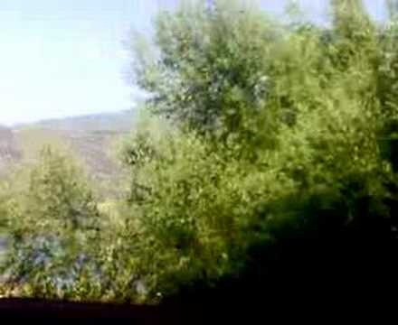 Canadair sul lago di Castel Gandolfo ...
