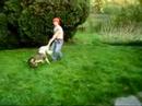 my-dogs
