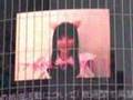 桜川ひめこ 渋谷Q-FRONT時報&アキバに行くのん告知映像