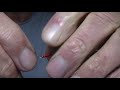 Pikefly part 2