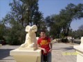 Serdar - M?s?r Maceras?