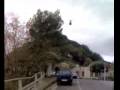 videos de amici pellegrino