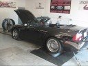 Racers Edge Tuning- Black Conv Terminator
