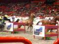 Stockholm International Horse Show