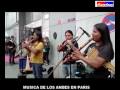 Flutes De Pan Des Andes,