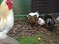 Michel und seine M�dels