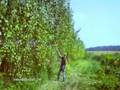 Bioeconomy-101-Culti