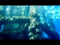 Spearfishing in Key West in June