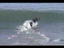 Nick McCormack Skim Clips Nick McCormack Skim Clips
