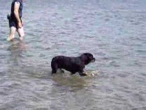 Paddy & Alan in the Irish Sea