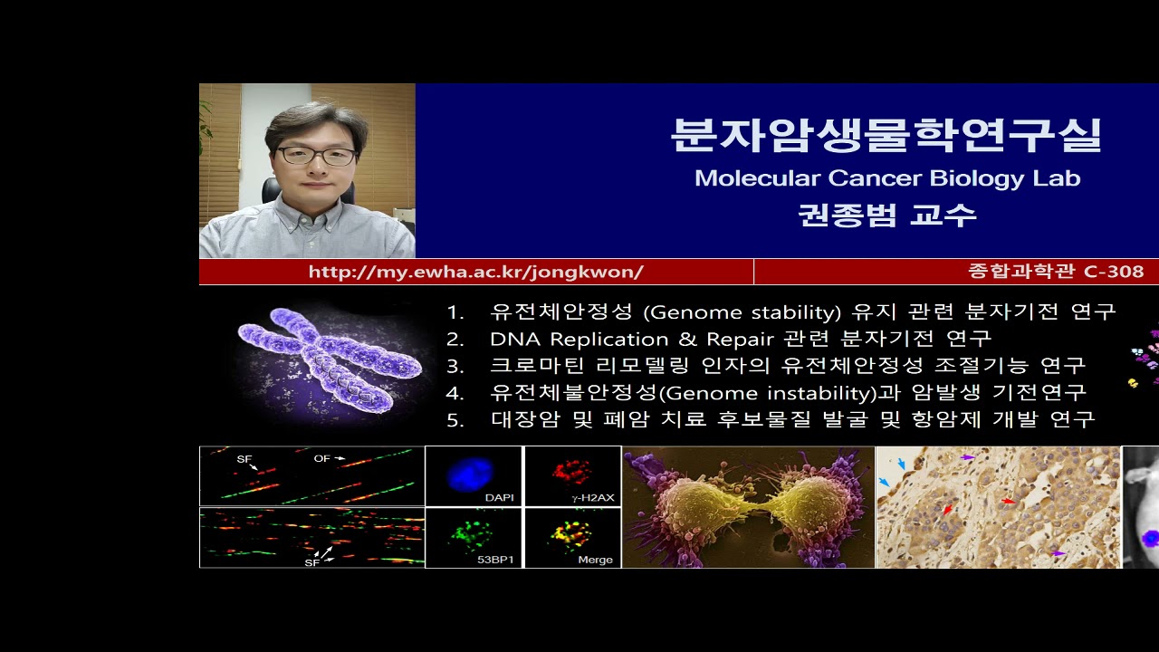  분자암생물학 연구실 <권종범 교수>