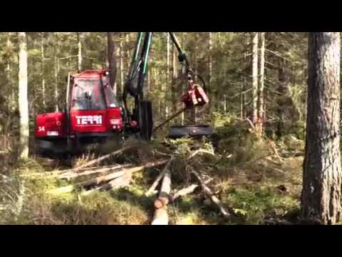047626800 - Terri 34 skördare vid demodag hos Sydved.