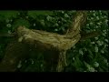 Arvo P�rt - Spiegel im Spiegel (Steadicam)