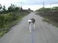 bikejor 14.10.07