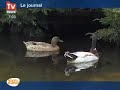 TV-Tours-La-gastrono