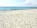 videos de erasmurciani a formentera