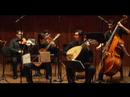 Vivaldi: Concerto for String an Basso Continuo