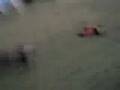 the race pt. 2