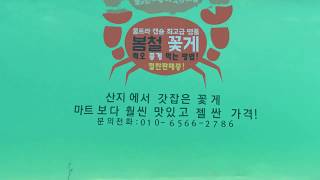 서진물산