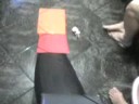 Cow Live Action #5