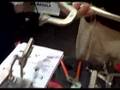 LockJaw Pliers