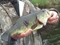 Fishing the Arrowhead: Pleasant Lake, largemouth bass