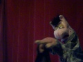 Dating Tips with Preston the Pig:The 3'rd date