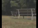 video divertenti al galluzzo