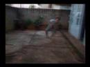 Velocit Raptor Atack- O Ataque do velocit raptor Velocit Raptor Atack- O Ataque do velocit raptor