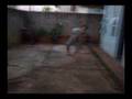 videos de Velocit Raptor Atack- O Ataque do velocit raptor