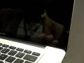 Polska premiera Macbooków Alu