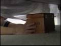 videos de Tooth Fairy Kidnapped?