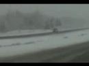 Tinny survives a Minnesota snow storm